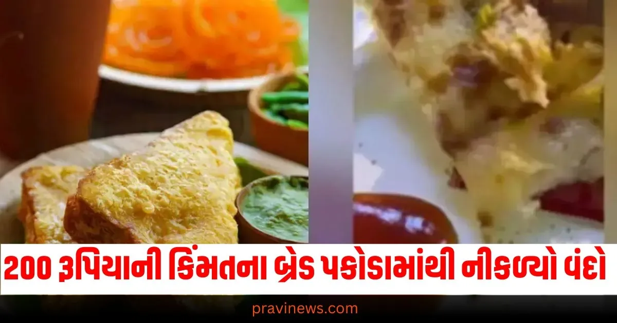 અરે બાપ રે! 200 રૂપિયાની કિંમતના બ્રેડ પકોડામાંથી નીકળ્યો વંદો, મુસાફરે જયપુર એરપોર્ટ પર પોતાની આપવીતી જણાવી https://www.pravinews.com/technology/google-gemini-2-0-flash-most-powerful-ai-model-generate-text-images-and-audio-68846