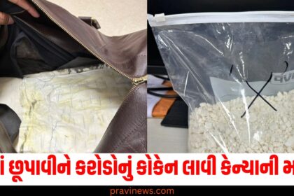 પેટમાં છૂપાવીને કરોડોનું કોકેન લાવી કેન્યાની મહિલા , ચેન્નાઈ એરપોર્ટ પર ધરપકડ https://www.pravinews.com/tag/%e0%aa%aa%e0%ab%87%e0%aa%9f