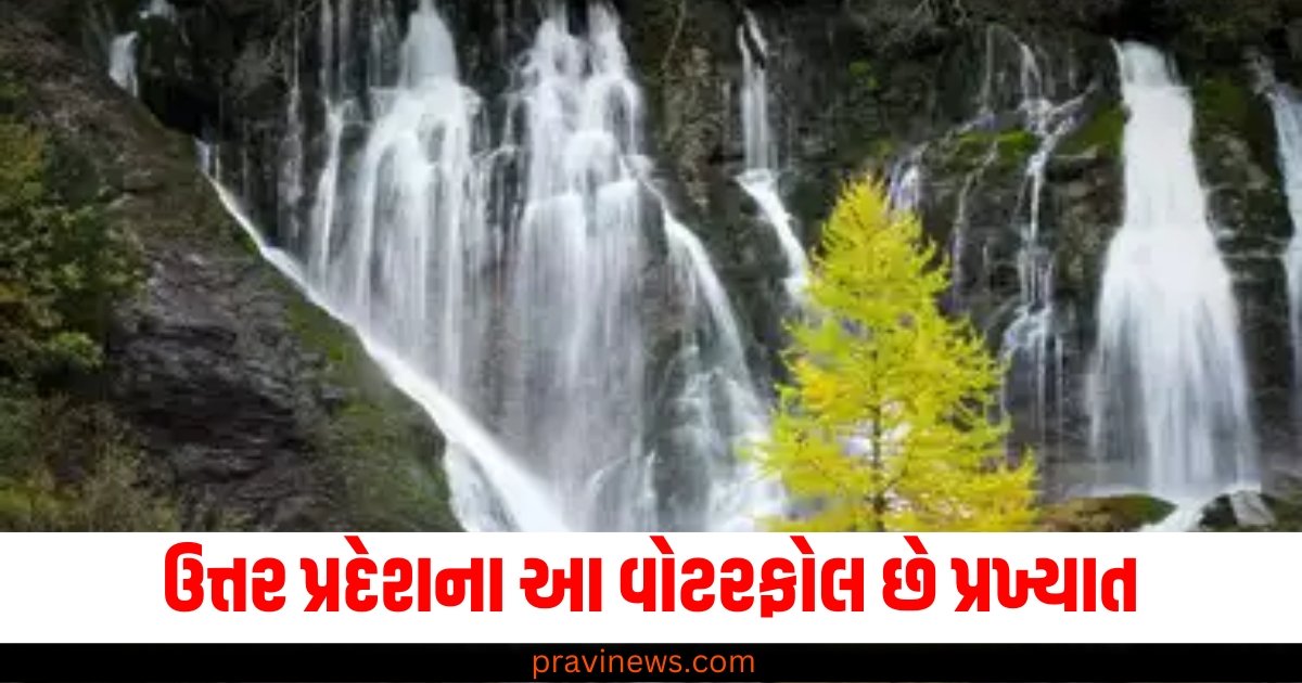 ઉત્તર પ્રદેશના આ વોટરફોલ છે પ્રખ્યાત, તમે મનાલી-શિમલા જવાનું ભૂલી જશો https://www.pravinews.com/automobile/honda-sp-125-on-road-price-bike-down-payment-emi-calculator-for-5-years-62263