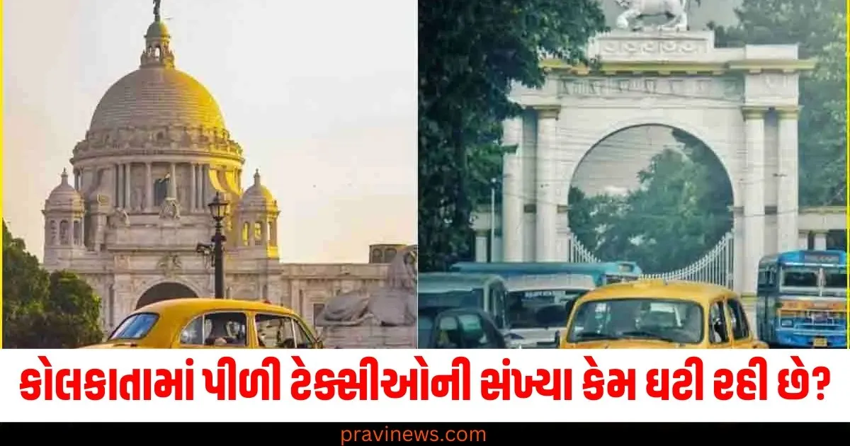 કોલકાતામાં પીળી ટેક્સીઓની સંખ્યા કેમ ઘટી રહી છે? રસ્તાઓ પર ઉતર્યા ડ્રાઇવરો અને કરી આ માંગ https://www.pravinews.com/sports/ashid-khan-will-lead-mi-capetown-in-sa20-in-2025-season-73994