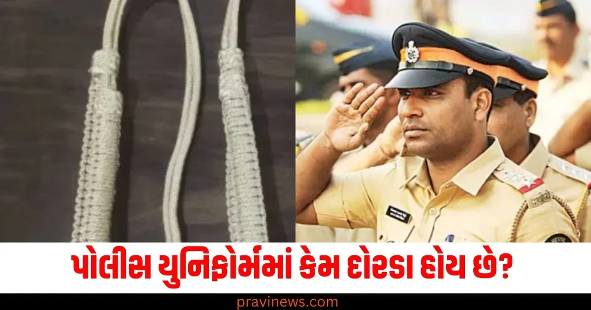 પોલીસ યુનિફોર્મમાં કેમ દોરડા હોય છે? તમે કદાચ તેનો અર્થ જાણતા નહિ હોઈ! https://www.pravinews.com/world-news-in-gujarati/rajasthan-car-wheels-theft-in-sirohi-police-arrests-two-accused-ann-79312