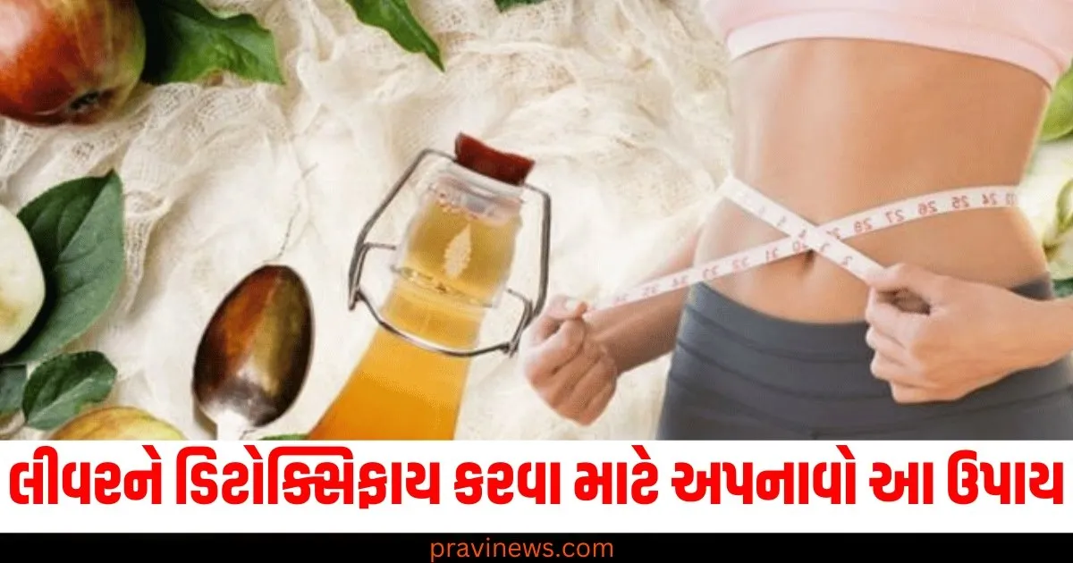 લીવરને ડિટોક્સિફાય કરવા માટે અપનાવો આ ઘરેલું ઉપાય, ડોક્ટરે જણાવ્યા તેના ફાયદા https://www.pravinews.com/lifestyle/health-fitness/breast-cancer-causes-new-research-health-facts-symptoms-sanket-lakshan-bachav-prevention-79141