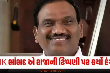 બંધારણ પર ચર્ચા, DMK સાંસદ, રાજાની ટિપ્પણી, હંગામો, NDA સાંસદ, માફી,