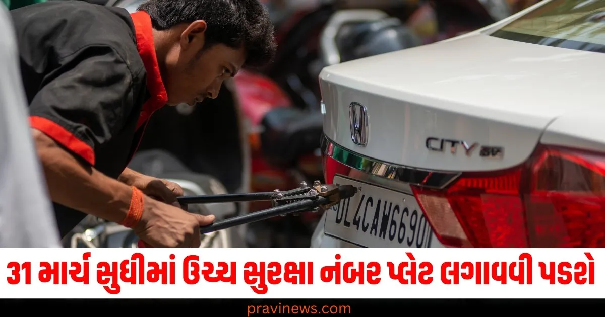 મહારાષ્ટ્રમાં 31 માર્ચ સુધીમાં વાહનો પર ઉચ્ચ સુરક્ષા નંબર પ્લેટ લગાવવી પડશે, સમયમર્યાદા પર પ્રશ્નો ઉભા થયા https://www.pravinews.com/lifestyle/health-fitness/chaulai-saag-a-superfood-for-strengthening-weak-bones-with-surprising-health-benefits-64806