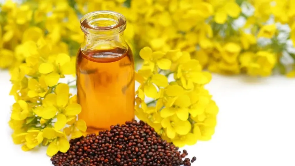 ભૂલથી પણ આ ચાર વસ્તુઓ મફતમાં ન લો, નહીં તો તમારે આર્થિક સંકટનો સામનો કરવો પડશે 5 ભૂલથી પણ આ ચાર વસ્તુઓ મફતમાં ન લો, નહીં તો તમારે આર્થિક સંકટનો સામનો કરવો પડશે https://www.pravinews.com/religion/do-not-take-these-four-things-for-free-otherwise-you-may-have-to-face-66300