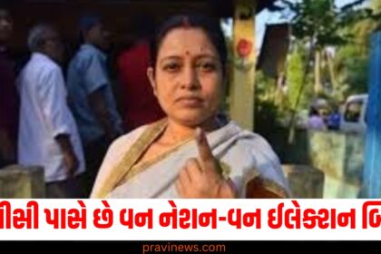 વન નેશન-વન ઈલેક્શન બિલ હવે જેપીસી પાસે છે, જો 2025માં પાસ થઈ જશે તો એકસાથે ચૂંટણી ક્યારે થશે? https://www.pravinews.com/tag/%e0%aa%9a%e0%ab%82%e0%aa%82%e0%aa%9f%e0%aa%a3%e0%ab%80