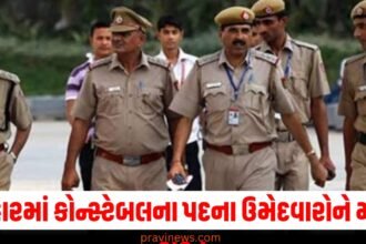બિહારમાં કોન્સ્ટેબલના પદ માટેના ઉમેદવારોને મોટી રાહત, NCL અને EWS ઉમેદવારોની માંગણીઓ સ્વીકારવામાં આવી https://www.pravinews.com/breaking-news/firozabad-shocking-theft-case-electricity-wires-stolen-from-poles-uttar-pradesh-63556