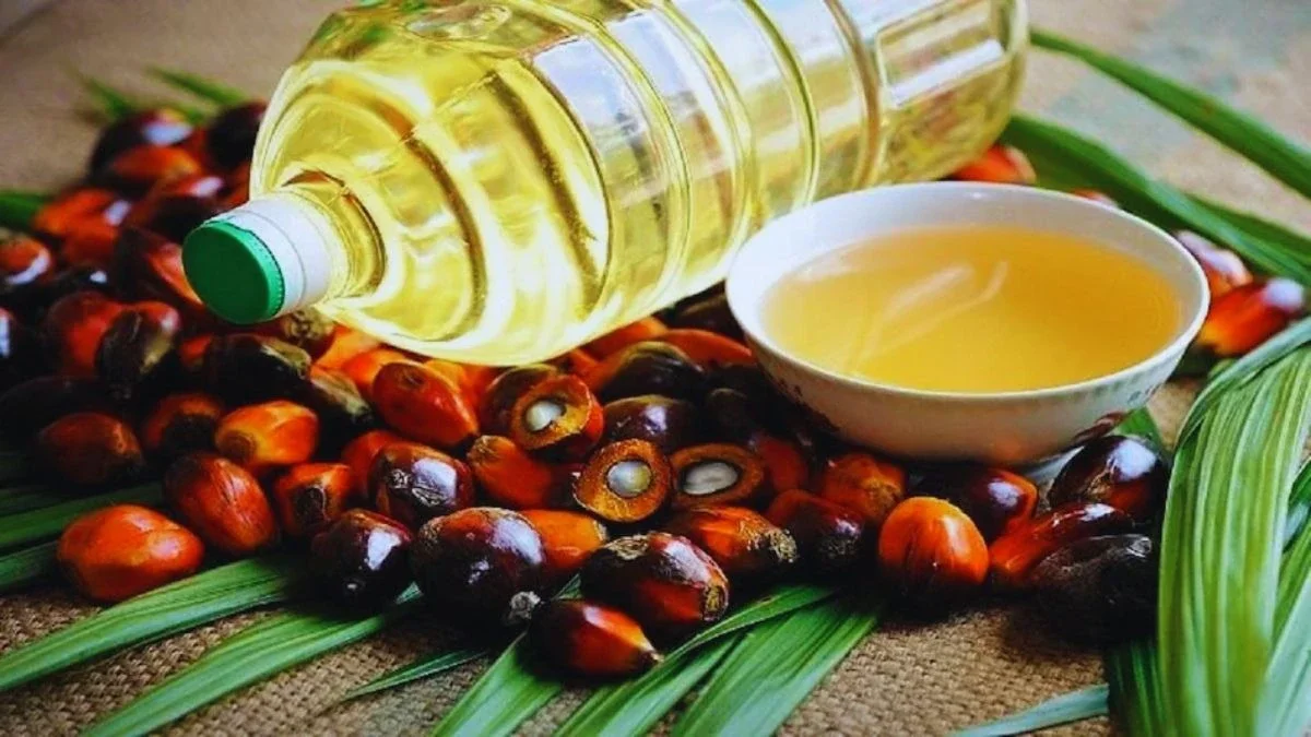 છેલ્લા ત્રણ મહિનામાં પામ ઓઈલના ભાવમાં 30 થી 40%નો વધારો થયો, જાણો શું છે સનફ્લાવર તેલ પર અપડેટ https://www.pravinews.com/business/palm-oil-prices-have-increased-by-30-to-40-percent-in-the-last-three-months-affecting-the-prices-65820