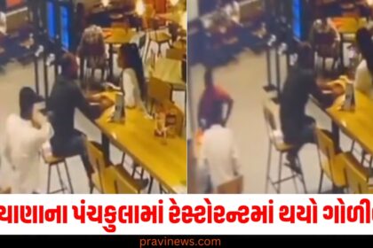 હરિયાણાના પંચકુલામાં રેસ્ટોરન્ટમાં થયો ગોળીબાર , જન્મદિવસની પાર્ટીમાં એક છોકરી અને બે છોકરાઓનું મોત https://www.pravinews.com/author/pravinews/page/4