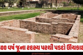 2500 વર્ષ જૂના રહસ્ય પરથી પડદો ઊંચકાશે! પટનામાં ચાલી રહ્યું છે ખોદકામ જાણો મહેલનો હોલ કેવી રીતે દટાયો https://www.pravinews.com/breaking-news/firozabad-shocking-theft-case-electricity-wires-stolen-from-poles-uttar-pradesh-63556