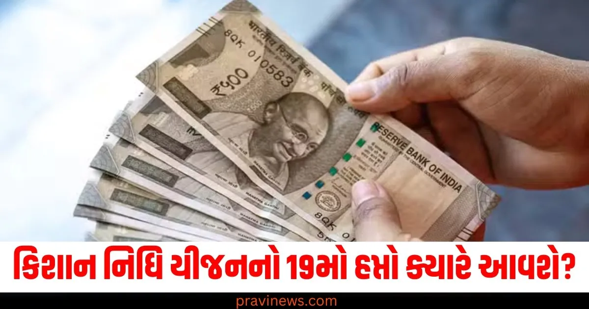 PM કિશાન નિધિ યીજનનો 19મો હપ્તો ક્યારે આવશે અને કયા ખેડૂતોના પૈસા અટકી શકે છે, જાણો અહીં https://www.pravinews.com/flashback-2024/year-ender-2024-top-10-causes-of-death-this-year-life-expectancy-post-corona-pandemic-news-in-hindi-74356