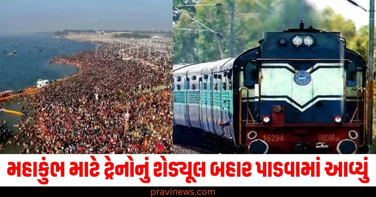 મહાકુંભ માટે 20 વિશેષ ટ્રેનોનું શેડ્યૂલ બહાર પાડવામાં આવ્યું, યાદી જોઈને તમારી સીટો બુક કરો https://www.pravinews.com/world-news-in-gujarati/delhi-assembly-elections-2025-congress-second-list-of-candidates-bet-on-50-percent-new-faces-76726