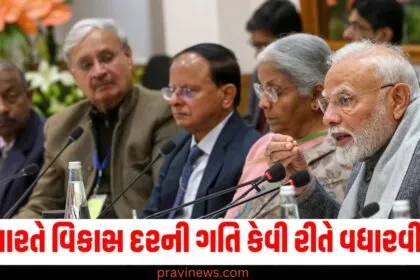 ભારત (India), વિકાસ દર (Growth rate), PM મોદી (PM Modi), પ્રી-બજેટ મીટિંગ (Pre-budget meeting), મંત્ર (Mantra),