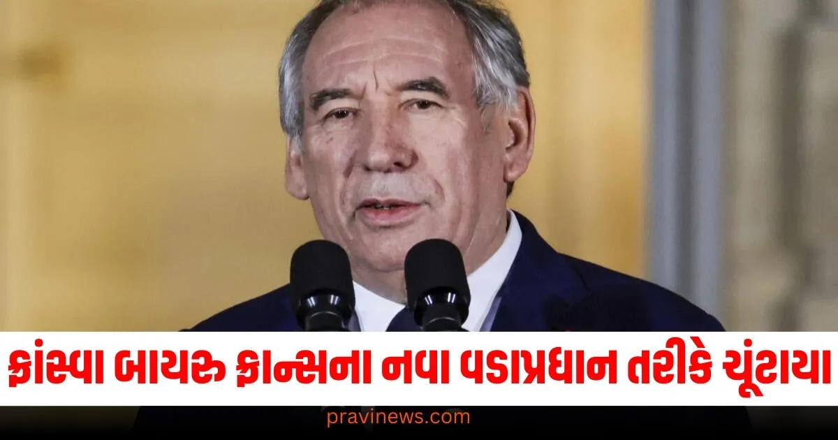 ફ્રાંસ્વા બાયરુ, નવા વડાપ્રધાન, ફ્રાન્સ, રાજકીય સફર, ચૂંટણી,