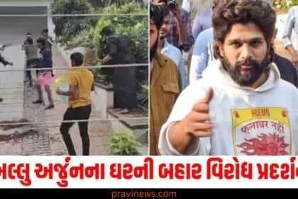 Allu Arjun (અલ્લુ અર્જુન), Protest (પ્રતિશ્વદર્શન), House (ઘર), Arrests (અટકાયત),