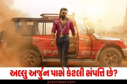 અલ્લુ અર્જુન, 7 કંપનીઓ, પૈસા રોકયા, પુષ્પા, સંપત્તિ,