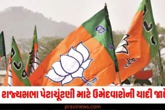 ભાજપે રાજ્યસભા પેટાચૂંટણી માટે ઉમેદવારોની યાદી જાહેર કરી, જાણો કોને ક્યાંથી ટિકિટ મળી https://www.pravinews.com/assembly-elections-maharashtra/maharashtra-vidhan-sabha-election-2024-bjp-releases-the-second-list-of-22-candidates-for-the-election-52099