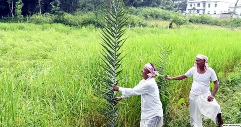 દેશના કરોડ ખેડૂતોને RBIની ભેટ, જમાનત મુક્ત લોન લિમિટમાં થયો વધારો 2 દેશના કરોડ ખેડૂતોને RBIની ભેટ, જમાનત મુક્ત લોન લિમિટમાં થયો વધારો https://www.pravinews.com/world-news-in-gujarati/rbis-gift-to-crores-of-farmers-of-the-country-increase-in-collateral-free-loan-limit-70431