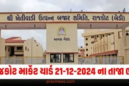 રાજકોટ માર્કેટ યાર્ડ આજના ભાવ | Rajkot APMC Market Price Today 21-12-2024 https://www.pravinews.com/tag/%e0%aa%b0%e0%aa%be%e0%aa%9c%e0%aa%95%e0%ab%8b%e0%aa%9f