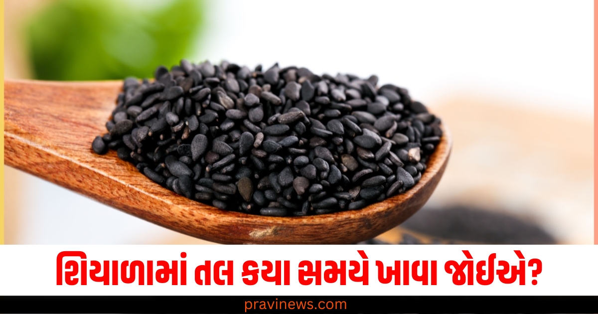 શિયાળામાં તલ કયા સમયે ખાવા જોઈએ, સવારે કે સાંજે? જાણો તેના આશ્ચર્યજનક ફાયદાઓ https://www.pravinews.com/technology/google-search-personalised-results-new-option-how-it-works-66150