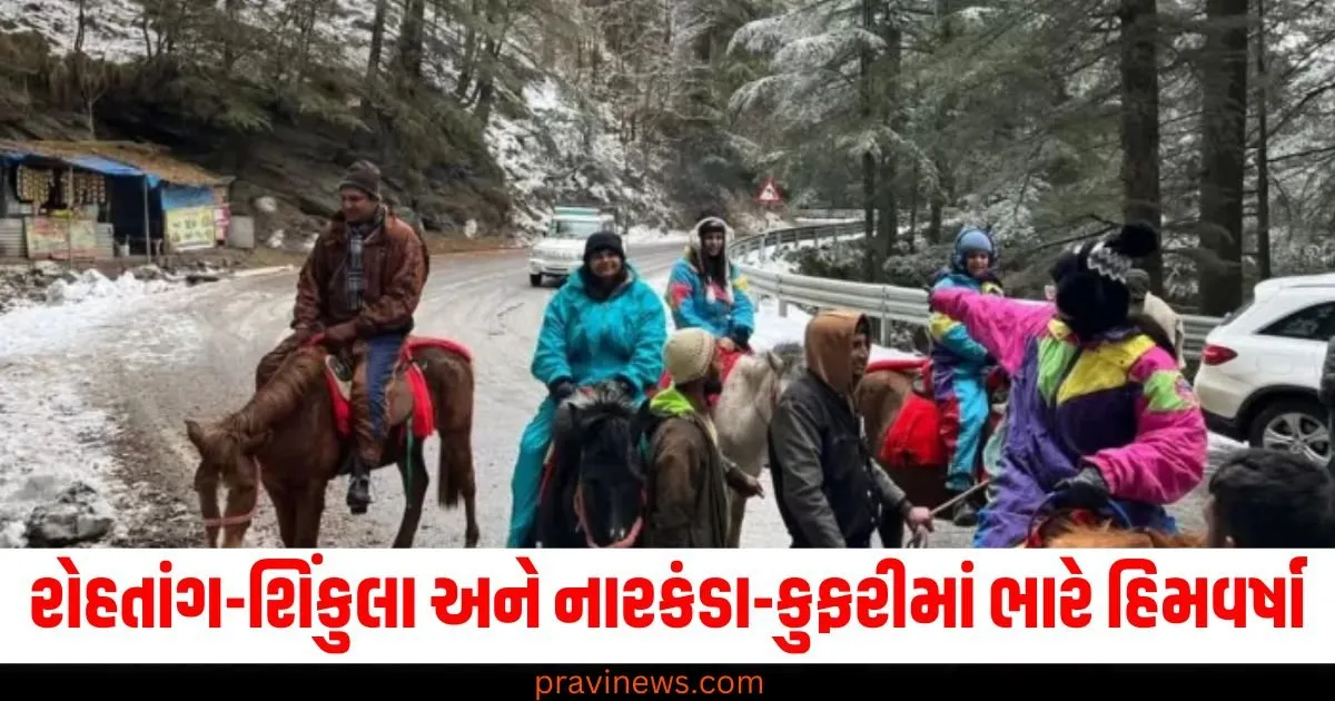 બાંગ્લાદેશ સરકાર, (Bangladesh government), ચિન્મય દાસ, (Chinmay Das), છોડવા માંગતી નથી, (Does not want to release), વકીલ, (Lawyer), મોટો દાવો, (Big claim),