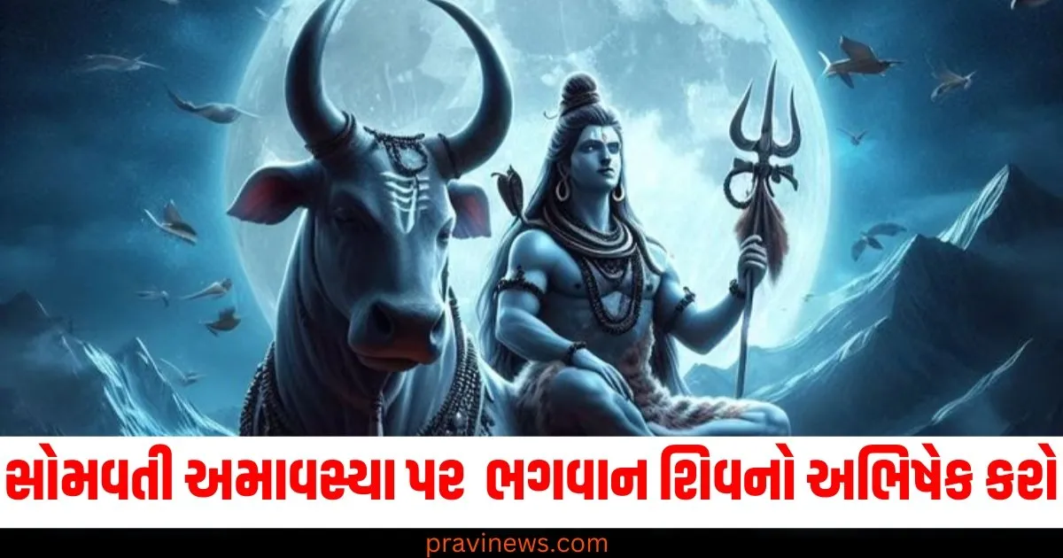 સોમવતી અમાવસ્યા પર રાશિ પ્રમાણે ભગવાન શિવનો અભિષેક કરો, નોકરીમાં પ્રમોશન મળશે https://www.pravinews.com/latest-video-news/baby-john-trailer-atlee-varun-dhawan-keerthy-suresh-wamiqa-g-jackie-shroff-25th-dec-74953