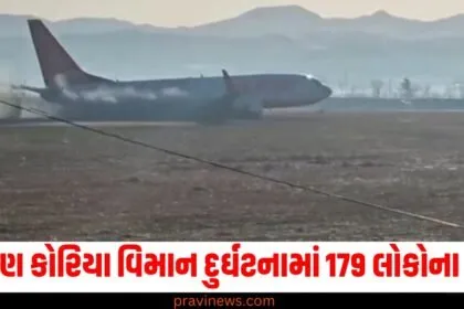 South Korea plane crash, 179 dead South Korea crash, South Korea aviation accident, India expresses condolences, South Korea plane tragedy,
