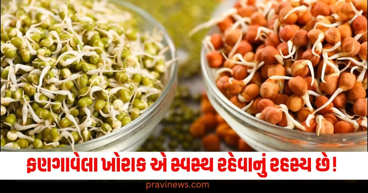 ફણગાવેલા ખોરાક એ સ્વસ્થ રહેવાનું રહસ્ય છે! હાર્ટ સ્પેશિયાલિસ્ટ પાસેથી જાણો ફૂડના ફાયદા https://www.pravinews.com/business/sanathan-textiles-ipo-date-review-price-allotment-details-and-gmp-parice-71999