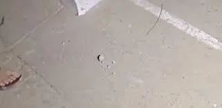 JNUમાં ધ સાબરમતી રિપોર્ટ ફિલ્મના સ્ક્રિનિંગ દરમિયાન પથ્થરમારો, ABVPએ લગાવ્યો આ આરોપ https://www.pravinews.com/world-news-in-gujarati/stone-pelting-during-screening-of-the-sabarmati-report-film-in-jnu-69379