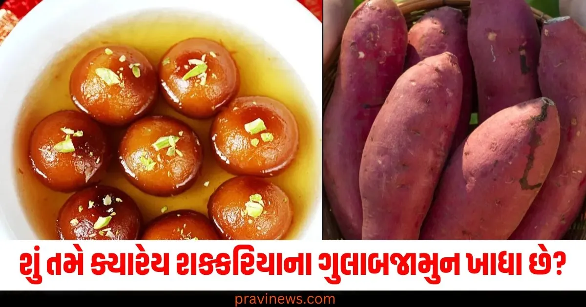 શું તમે ક્યારેય શક્કરિયાના ગુલાબજામુન ખાધા છે? જાણો તેને બનાવવાની સરળ રીત https://www.pravinews.com/top-news/rare-50000-year-old-baby-mammoth-remains-discovered-76378