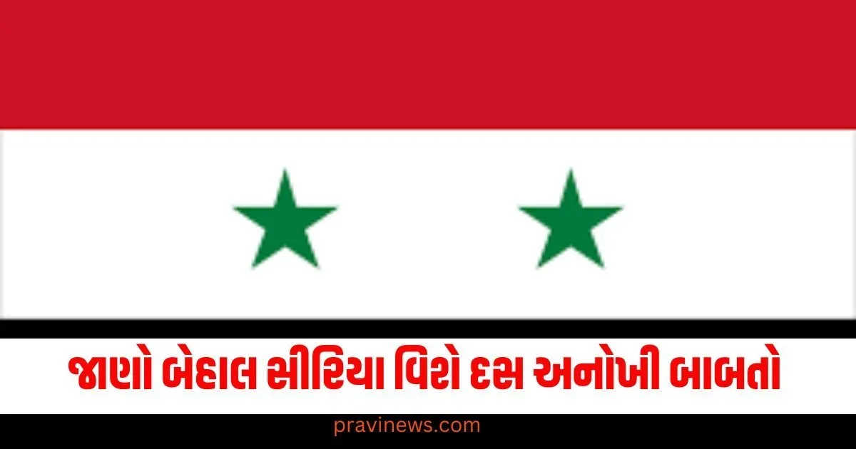 61 વર્ષથી ઈમરજન્સી લાગુ છે, જાણો બેહાલ સીરિયા વિશે દસ અનોખી બાબતો! https://www.pravinews.com/religion/astrology/horoscope-tomorrow-11-december-2024-kal-ka-rashifal-bhavishyafal-lucky-and-unlucky-zodiac-signs-today-67794