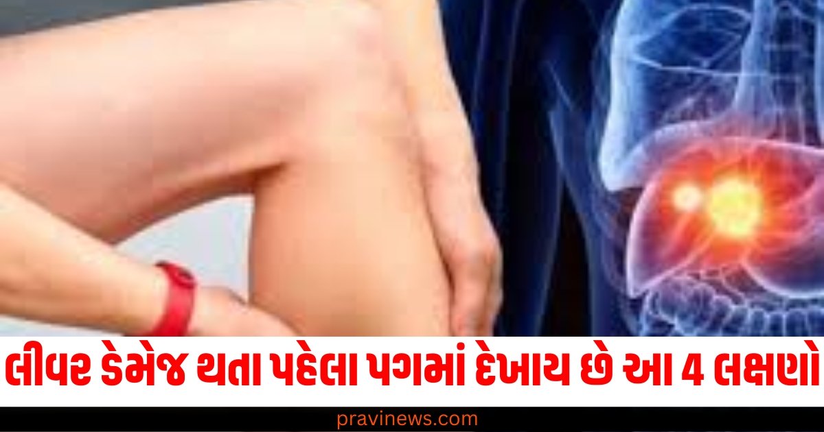 લીવર ડેમેજ થતા પહેલા પગમાં દેખાય છે આ 4 લક્ષણો, જાણો તેના વિશે https://www.pravinews.com/lifestyle/health-fitness/these-5-signs-of-liver-damage-that-could-be-seen-in-legs-63435