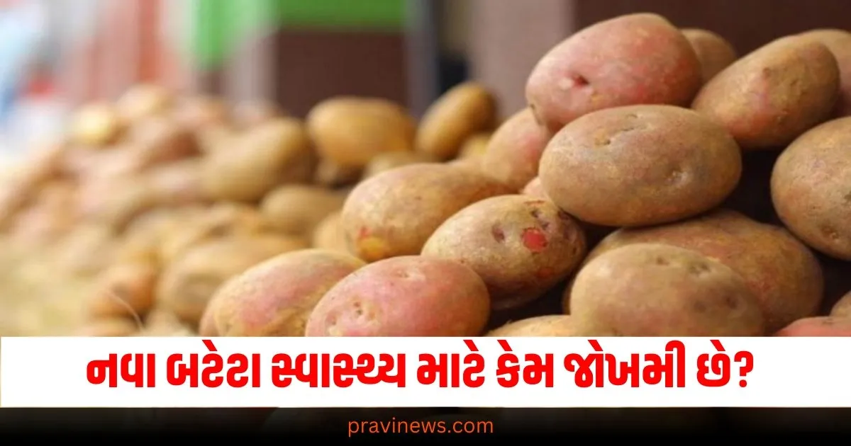 બજારમાં આવતા નવા બટેટા સ્વાસ્થ્ય માટે કેમ જોખમી છે? જાણો જુના બટેટાને કઈ રીતે ઓળખવા https://www.pravinews.com/technology/google-gemini-2-0-flash-most-powerful-ai-model-generate-text-images-and-audio-68846