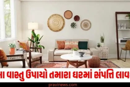 આ સરળ વાસ્તુ ઉપાયો તમારા ઘરમાં અપાર સંપત્તિ લાવશે, જાણો વાસ્તુના સાચા નિયમો. https://www.pravinews.com/photos