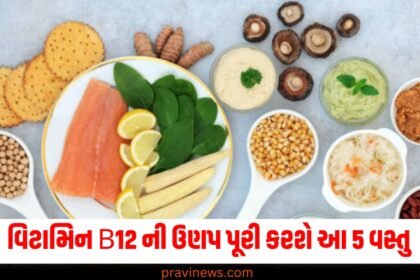 વિટામિન B12 ની ઉણપ પૂરી કરશે આ 5 વસ્તુ, માત્ર 21 દિવસ અજમાવો અને જુઓ ફાયદા https://www.pravinews.com/tag/b12