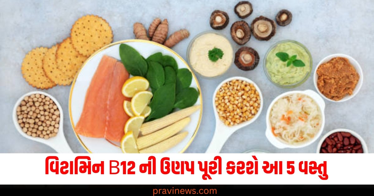 વિટામિન B12 ની ઉણપ પૂરી કરશે આ 5 વસ્તુ, માત્ર 21 દિવસ અજમાવો અને જુઓ ફાયદા https://www.pravinews.com/lifestyle/health-fitness/vitamin-b12-deficiency-warning-signs-symptoms-yellow-foods-bell-pepper-egg-pumpkin-benefits-64902