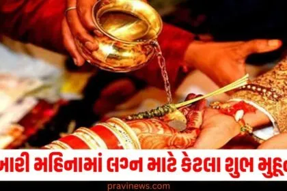 ફેબ્રુઆરી મહિનામાં લગ્ન માટે કેટલા શુભ મુહૂર્ત છે? અહીં જાણો https://www.pravinews.com/tag/%e0%aa%ab%e0%ab%87%e0%aa%ac%e0%ab%8d%e0%aa%b0%e0%ab%81%e0%aa%86%e0%aa%b0%e0%ab%80/page/4