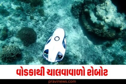 માણસ તો ઠીક આ તો રોબોટ પણ નીકળ્યો 'વોડકા'નો શોખીન, તેને ચલાવવા માટે ડીઝલ-પેટ્રોલ કે બેટરીની જરૂર નથી https://www.pravinews.com/tag/%e0%aa%b0%e0%ab%8b%e0%aa%ac%e0%ab%8b%e0%aa%9f