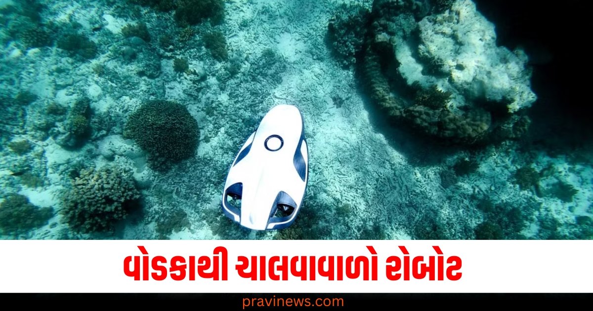 માણસ તો ઠીક આ તો રોબોટ પણ નીકળ્યો 'વોડકા'નો શોખીન, તેને ચલાવવા માટે ડીઝલ-પેટ્રોલ કે બેટરીની જરૂર નથી https://www.pravinews.com/world-news-in-gujarati/odisha-ramayana-demon-actor-kills-pig-eats-meat-on-stage-show-snake-police-arrested-63201