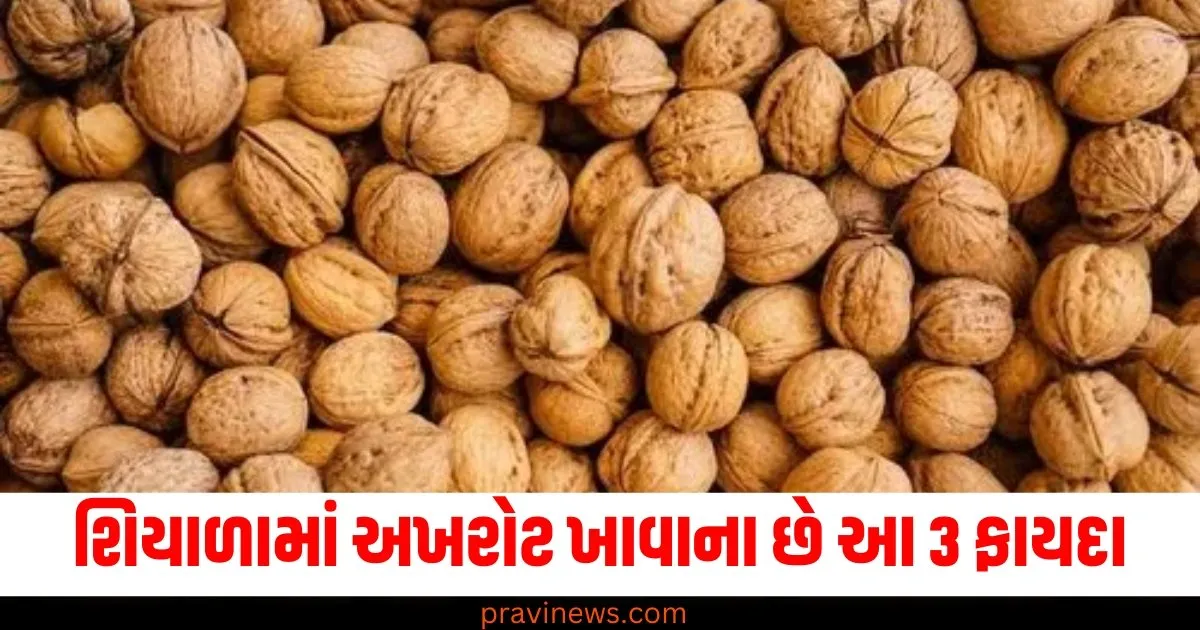 શિયાળામાં અખરોટ ખાવાના છે આ 3 ફાયદા, મગજથી પેટ સુધી બધું રહેશે સ્વસ્થ https://www.pravinews.com/world-news-in-gujarati/chickens-spewing-fire-from-mouth-after-dying-in-hassan-district-of-karnataka-60978