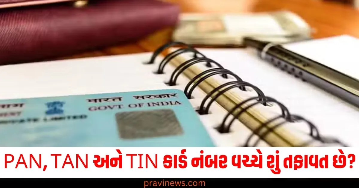 શું તમે જાણો છો કે PAN, TAN અને TIN કાર્ડ નંબર વચ્ચે શું તફાવત છે? અહીં જાણો https://www.pravinews.com/business/income-tax