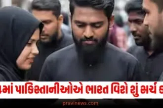 Flashback 2024 trends : 2024માં પાકિસ્તાનીઓએ ભારત વિશે શું સર્ચ કર્યું ? સંપૂર્ણ યાદી જોશો તો તમે ચોંકી જશો! https://www.pravinews.com/flashback-2024/flashback-2024_trends/year-ender-2024-upi-changes-upi-lite-auto-top-up-transaction-limit-hike-upi-circle-71506