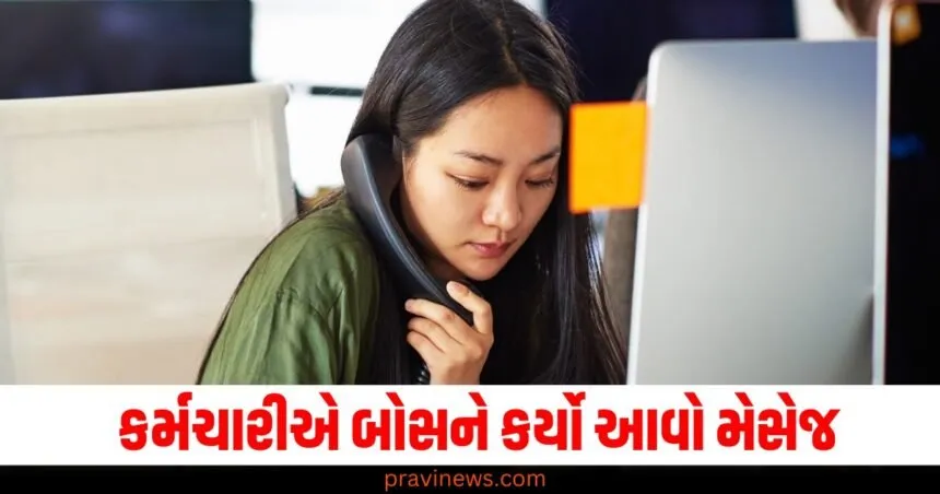 ઓફિસે લેટ આવા પર કર્મચારીએ બોસને કર્યો આવો મેસેજ, બોસ પણ જોઈને થઇ ગયા આશ્ચર્યચકિત! https://www.pravinews.com/entertainment/movie-reviews