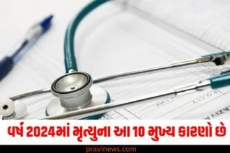 આ વર્ષે મૃત્યુના આ 10 મુખ્ય કારણો છે, આ રોગોએ સૌથી વધુ ચિંતા વધારી https://www.pravinews.com/flashback-2024/election-year-ender-2024-assembly-election-results-in-which-states-bjp-win-and-where-lose-68472