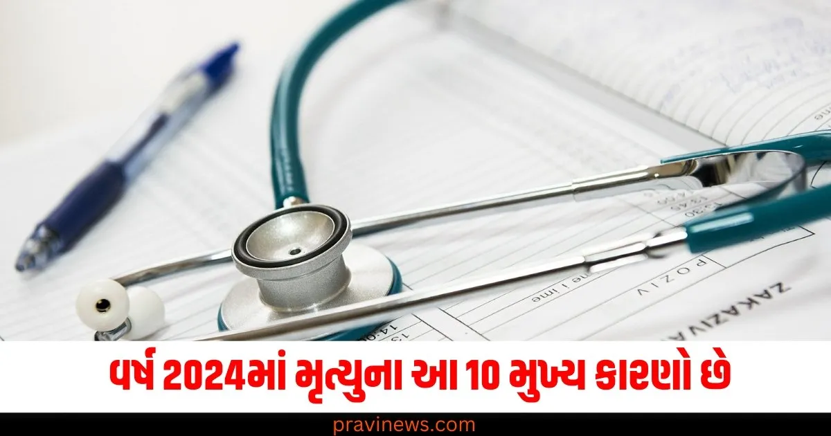 આ વર્ષે મૃત્યુના આ 10 મુખ્ય કારણો છે, આ રોગોએ સૌથી વધુ ચિંતા વધારી https://www.pravinews.com/flashback-2024/year-ender-2024-top-10-causes-of-death-this-year-life-expectancy-post-corona-pandemic-news-in-hindi-74356