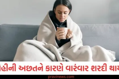 શું લોહીની અછતને કારણે વારંવાર શરદી થાય છે? તેના લક્ષણો અને કારણો જાણો https://www.pravinews.com/tag/%e0%aa%85%e0%aa%9b%e0%aa%a4