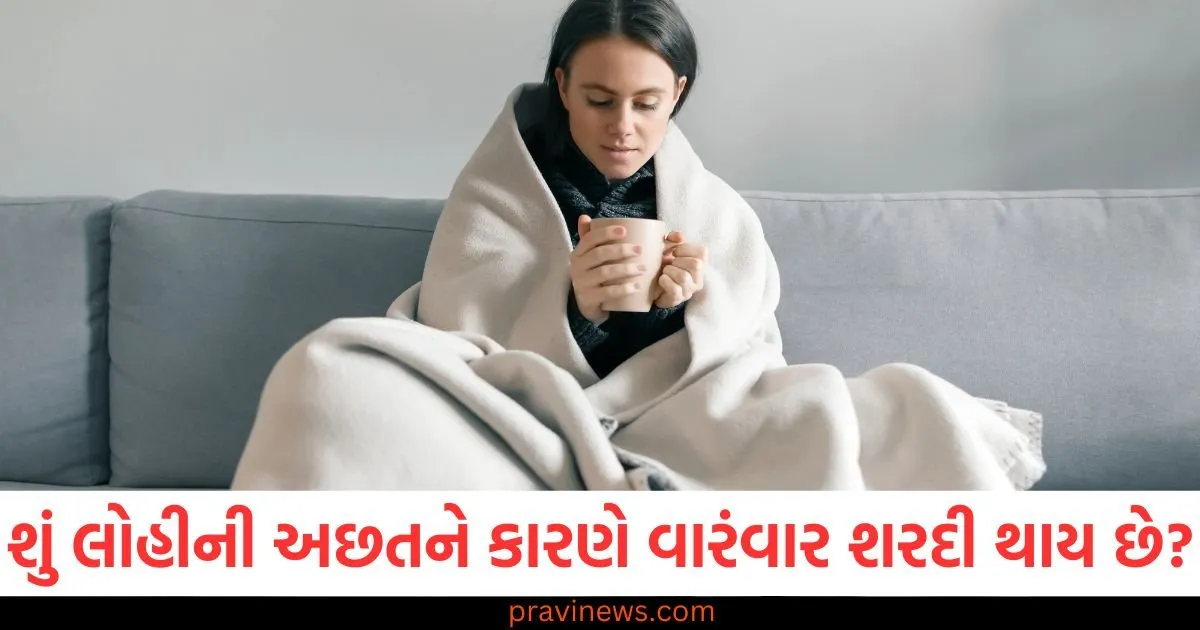 શું લોહીની અછતને કારણે વારંવાર શરદી થાય છે? તેના લક્ષણો અને કારણો જાણો https://www.pravinews.com/world-news-in-gujarati/mahakumbh-mela-ganga-yamuna-snan-ghat-changing-cabin-parking-yagyasahala-kumbh-sangam-prayagraj-87758