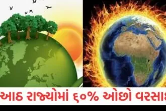 8 રાજ્યો, 60% ઓછો વરસાદ, જાન્યુઆરી, ખેડૂતો, પાણીની ઝંખના,