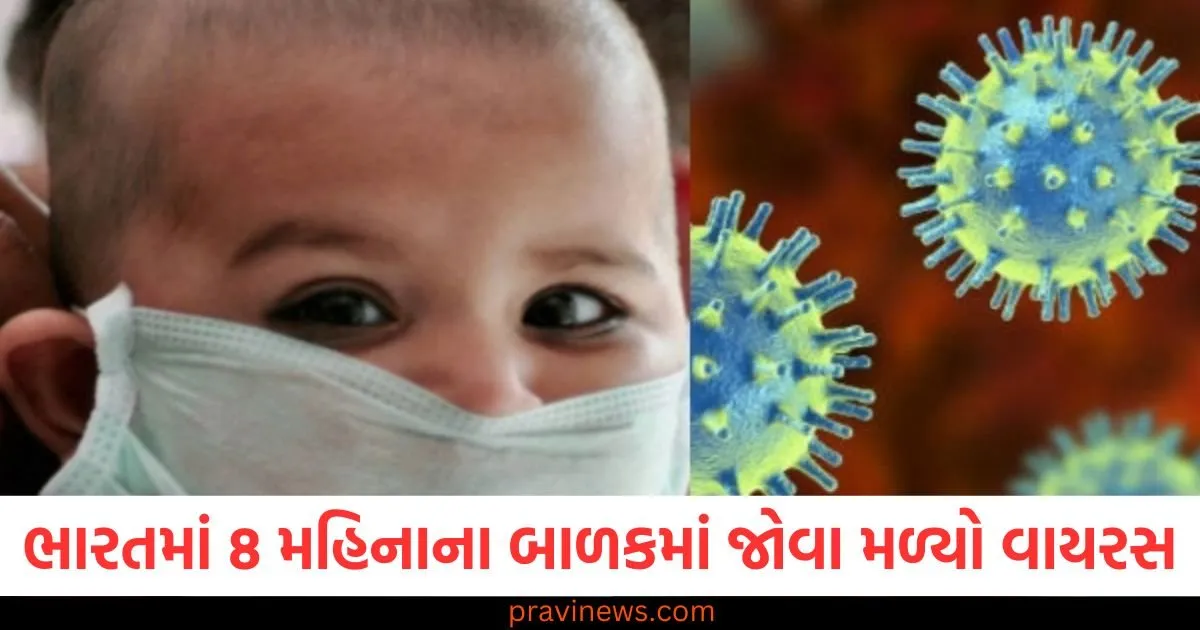ભારત, (India), 8 મહિનાનું બાળક, (8-month-old baby), HMPV વાયરસ ,(HMPV Virus), બાળકો માટે, (For children), ખતરનાક, (Dangerous),