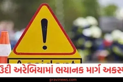 સાઉદી અરેબિયામાં ભયાનક માર્ગ અકસ્માતમાં 9 ભારતીયોના મોત, સાઉદી અરેબિયામાં થયેલ માર્ગ અકસ્માતમાં 9 ભારતીય નાગરિકોનું અવસાન, 9 ભારતીયોના મોત સાથે સાઉદી અરેબિયામાં માર્ગ અકસ્માતનું દુઃખદ બનાવ, સાઉદી અરેબિયામાં માર્ગ અકસ્માતે 9 ભારતીયોનું જીવન ગુમાવવું,